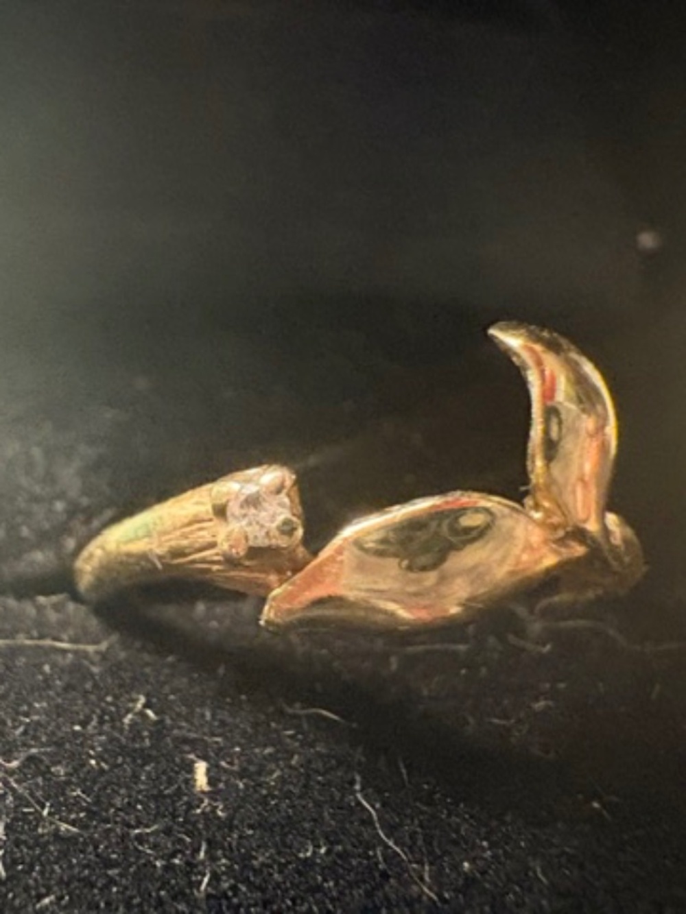 Rare 10K Gold Whale Tail Ring with Diamond – Size 8.5 – Alaska Ocean Jewelry